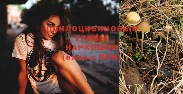 наркотики Алексин