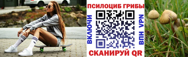 Псилоцибиновые грибы Cubensis  Перевоз 